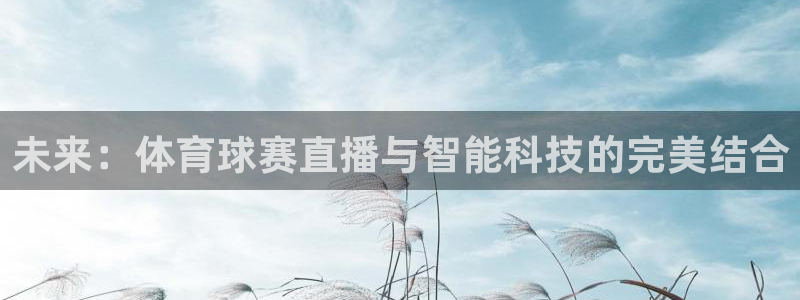 乐球直播nba在线直播
