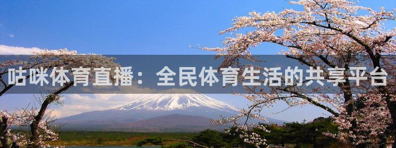 乐球直播(高清版)