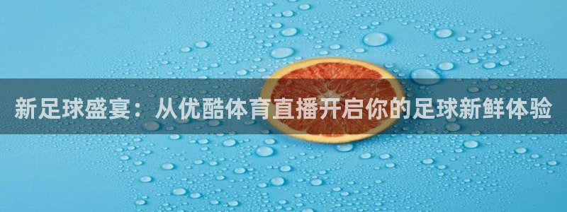 乐球直播无插件高清