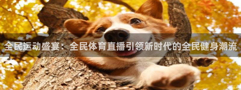 乐球直播体育