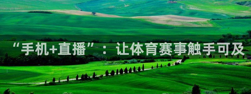 乐球直播在线看