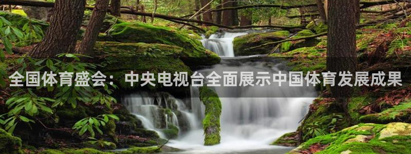 乐球直播nba在线观看