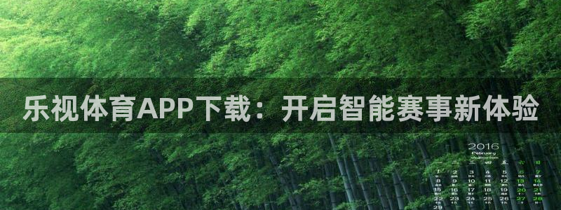 乐球直播篮球