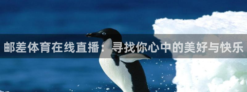 乐球直播网站