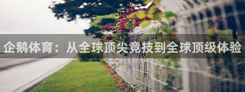 乐球直播(无插件)nba在线观看
