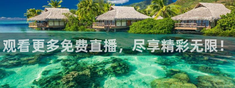 乐球直播在线看
