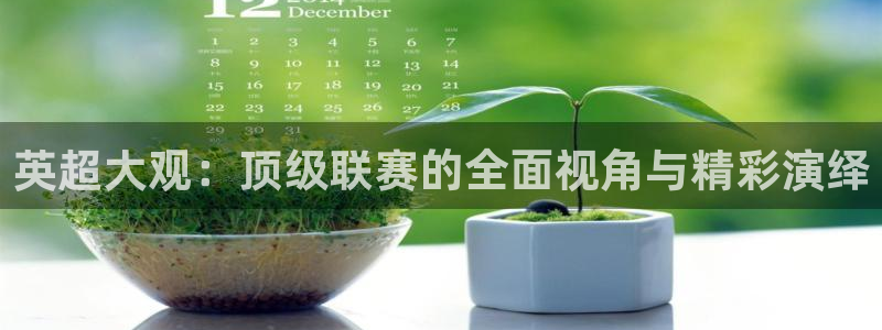 乐球直播官网入口