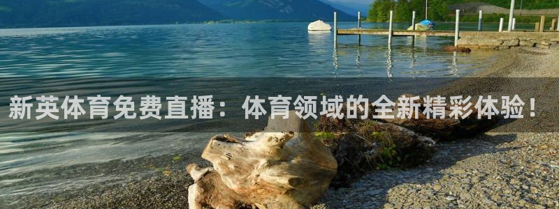 乐球直播在线播放