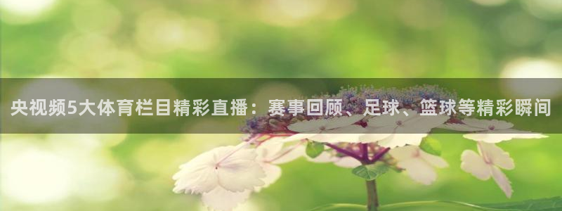 乐球直播免费观看入口