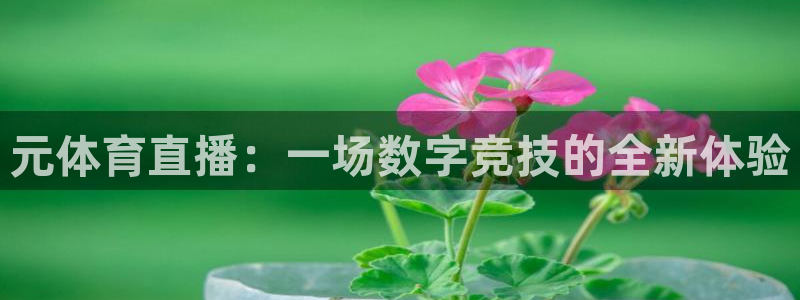 乐球直播app免费下载安装最新版